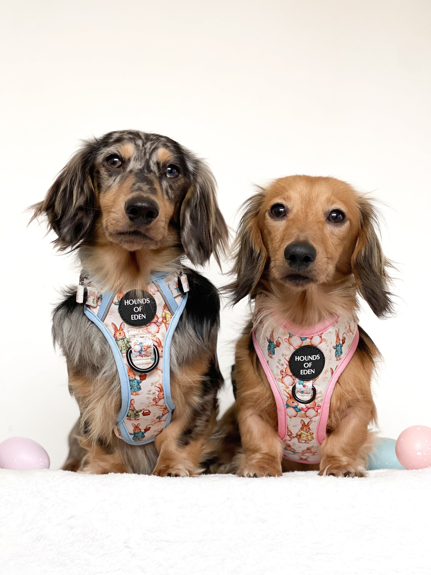 Bunny Tales - Pink, Dog Harness (XXS-XS)