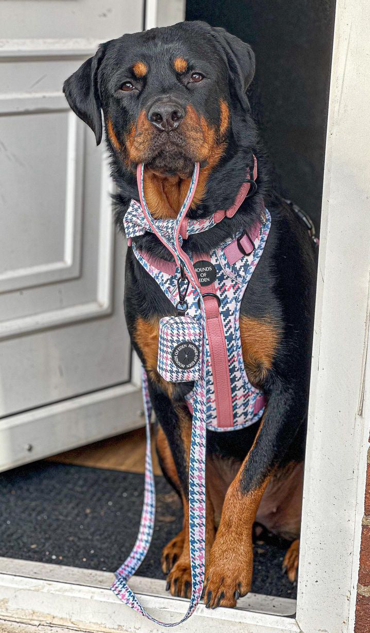 Pink Houndstooth Leather Dog Lead