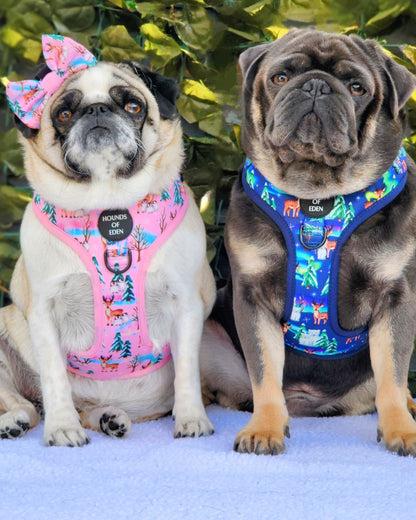 Aurora Nights - Pink Penguin Design Dog Harness