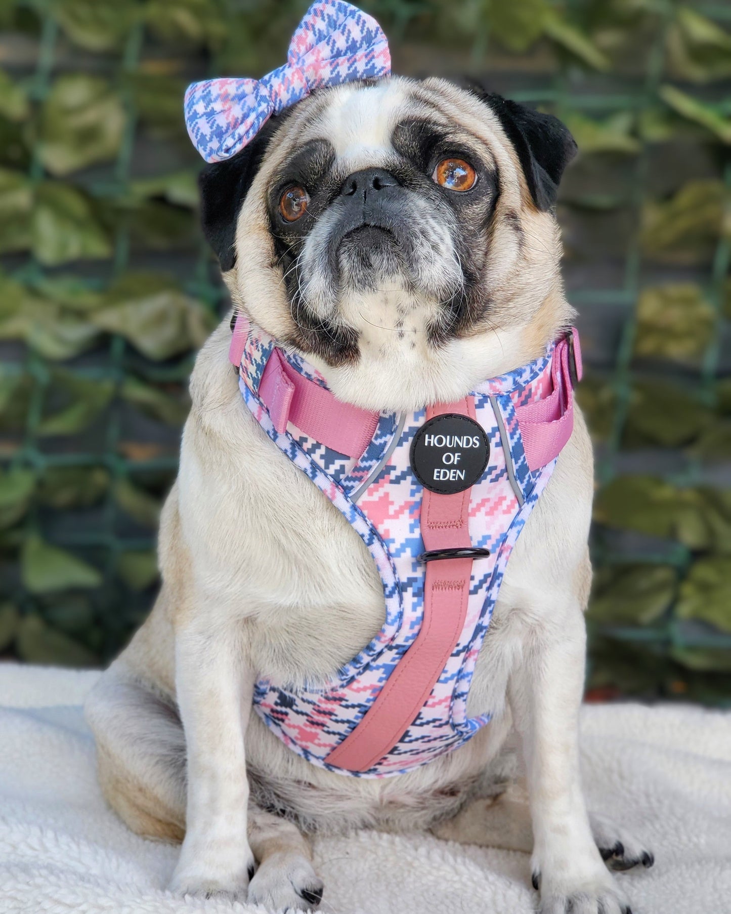 Pink Houndstooth Leather Dog Collar