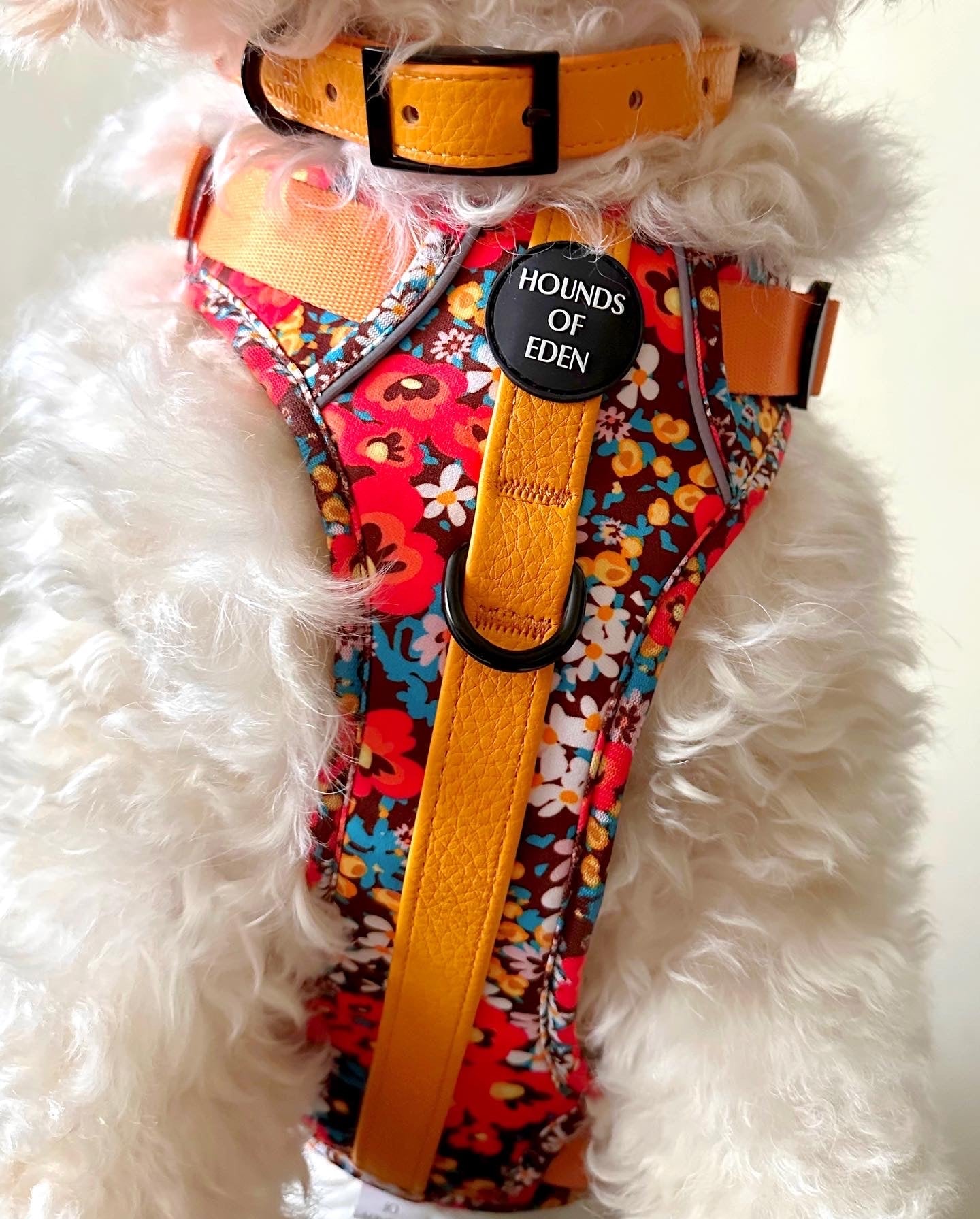 Retro Bloom Dog Supaw Strong Lite™ Harness (XS-XL)