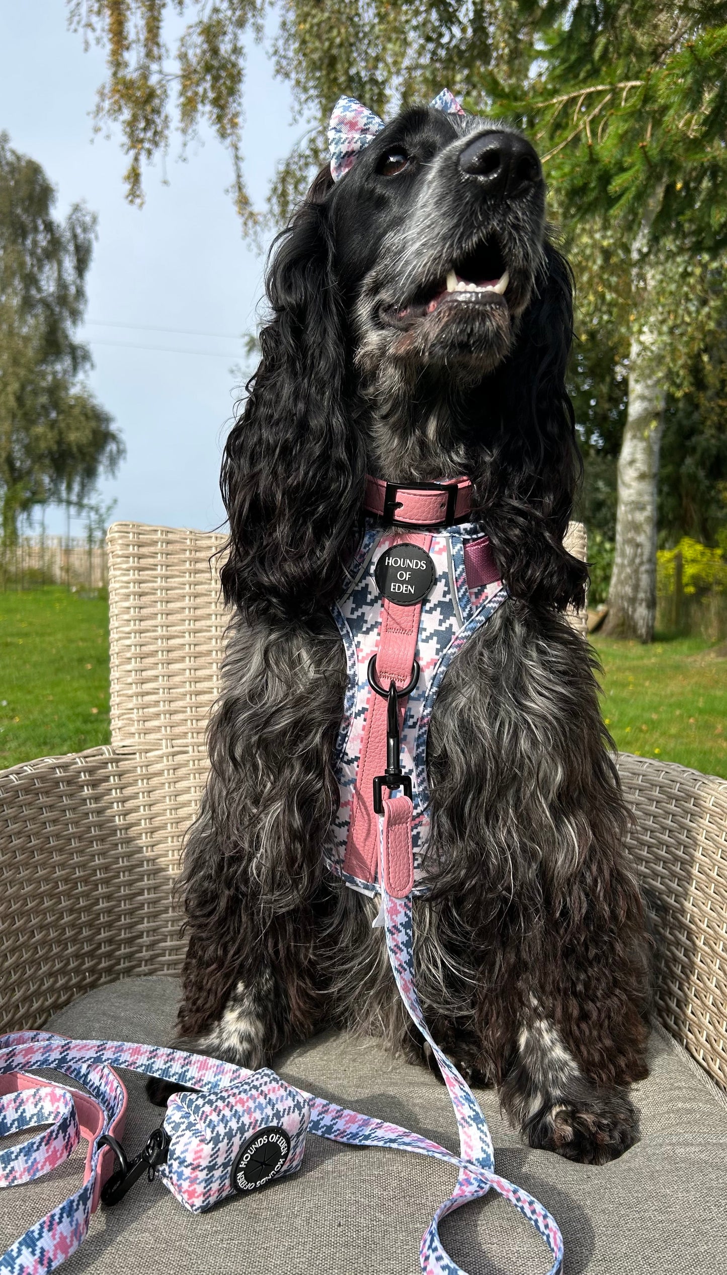 Pink Houndstooth Leather Dog Collar