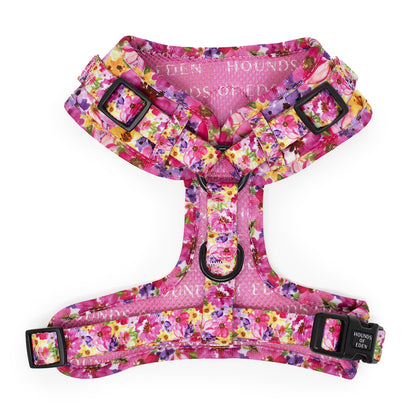 'Florentina' - Floral Dog Harness