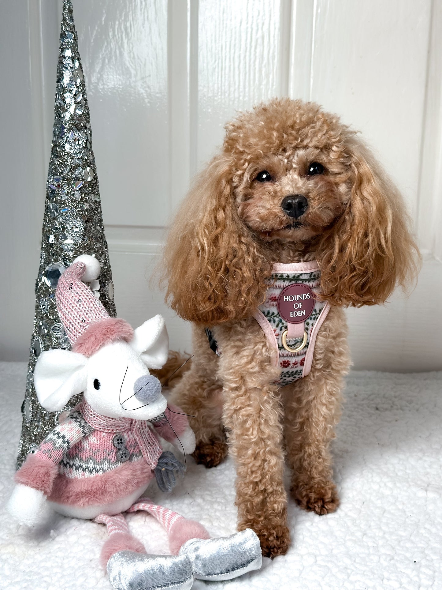 Bella's Jumper Dog Collar + Tag Holder