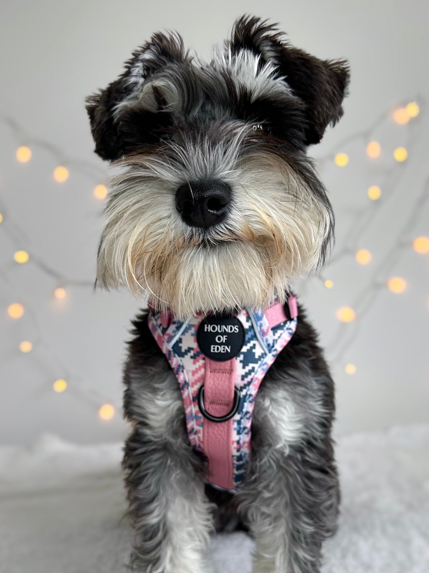 Pink Houndstooth Leather Dog Collar