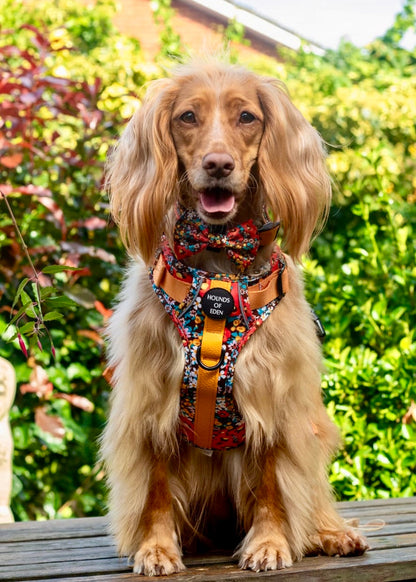 Retro Bloom Leather Dog Collar