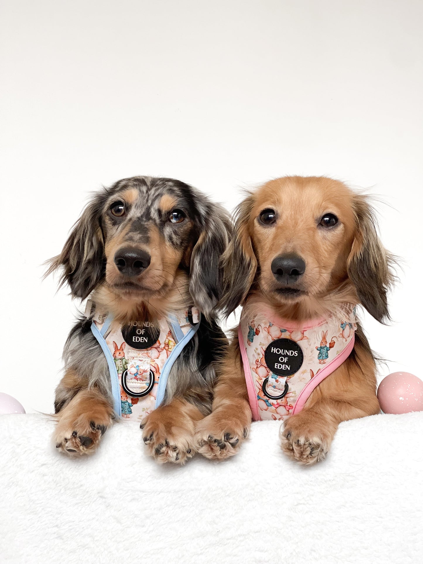 Bunny Tales - Pink, Dog Harness (XXS-XS)