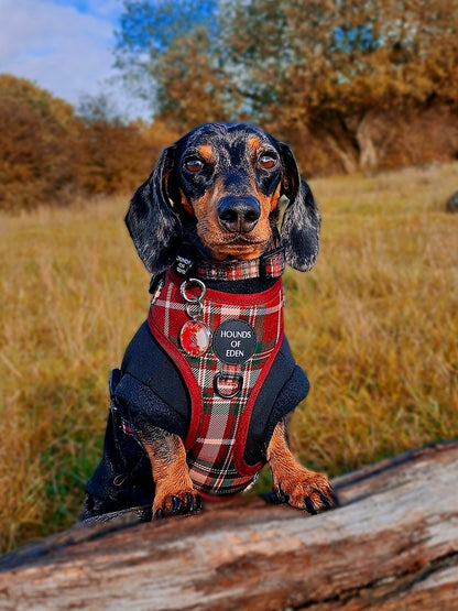 Tartan Me Up - Red & Cream Tartan Design Dog Harness