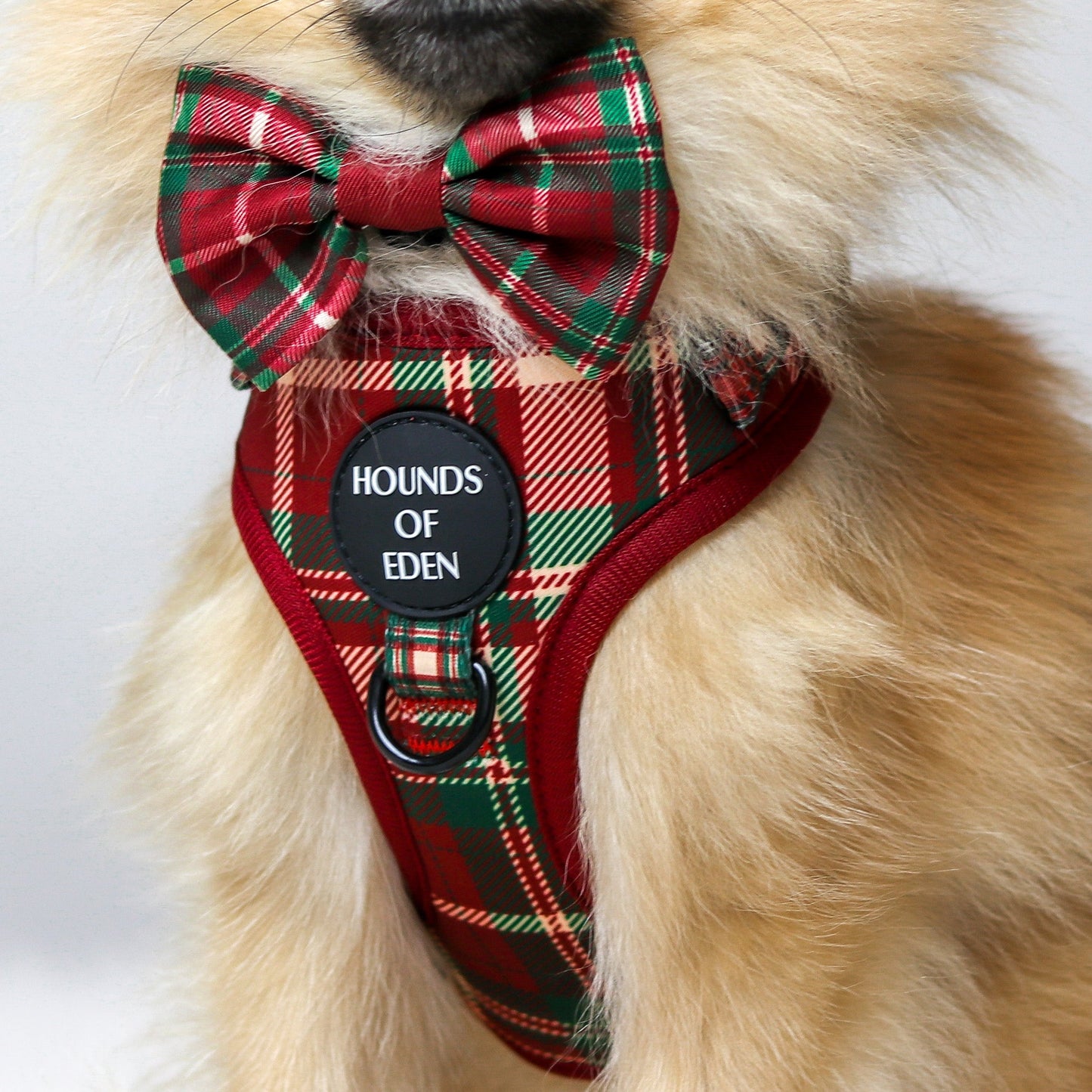 Tartan Me Up - Red & Cream Tartan Design Dog Harness