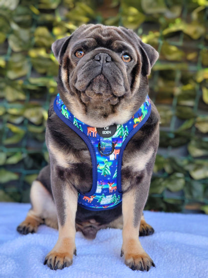 Polar Lights - Navy Polar Bear Design Dog Bow Tie