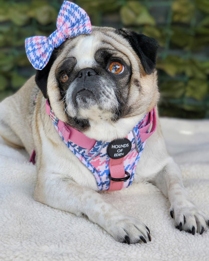 Pink Houndstooth Leather Dog Collar