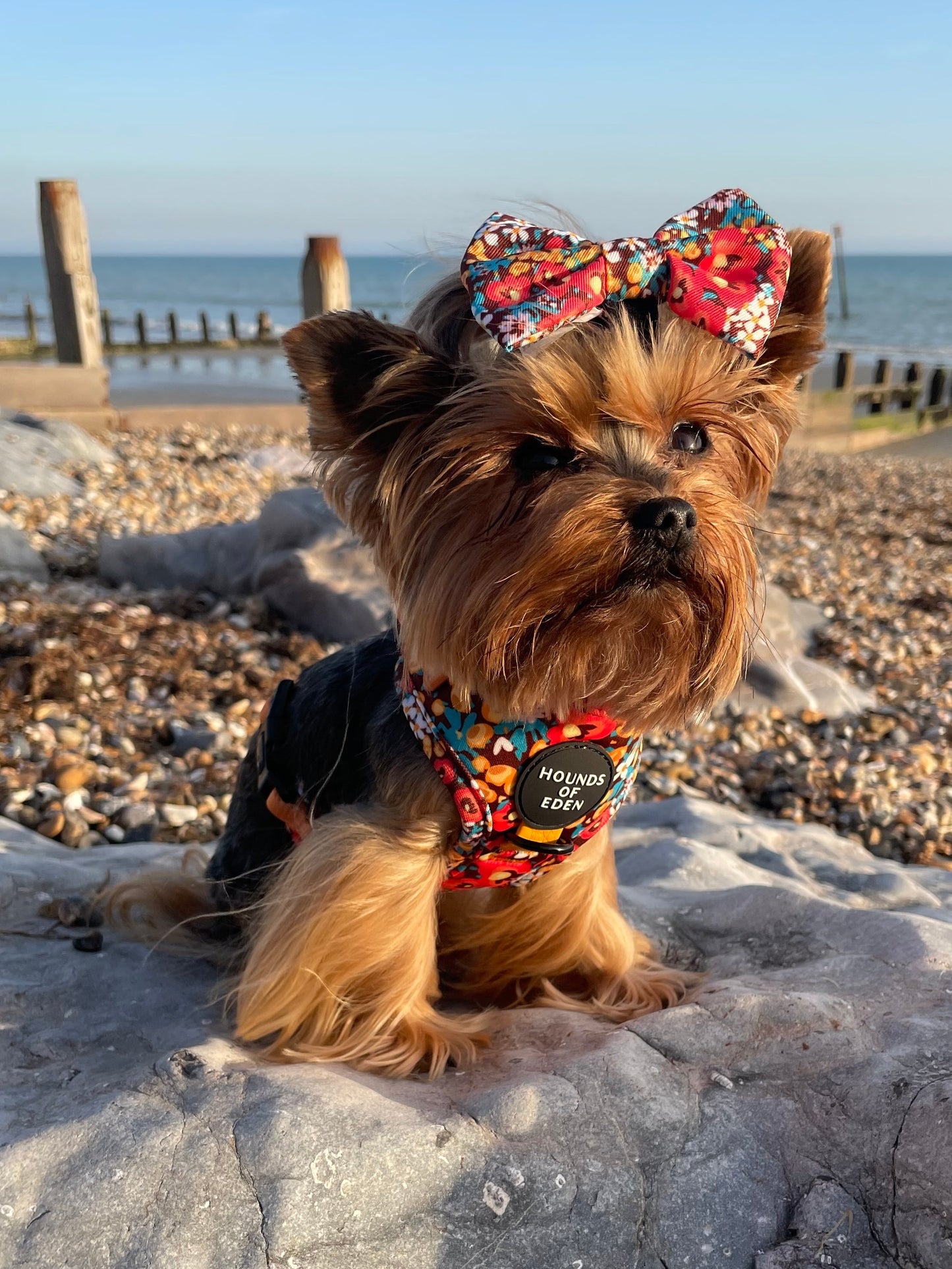 Retro Bloom Leather Dog Collar