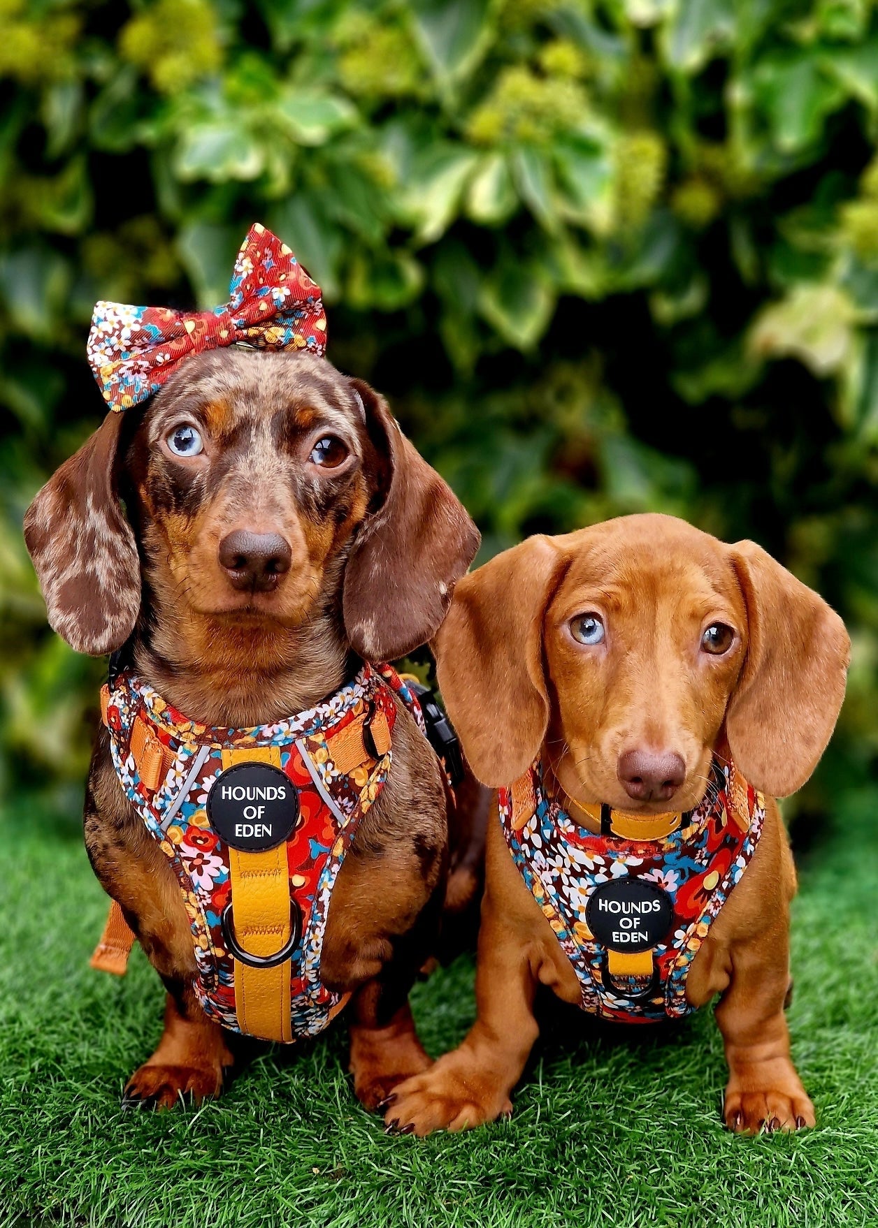 Retro Bloom Leather Dog Collar