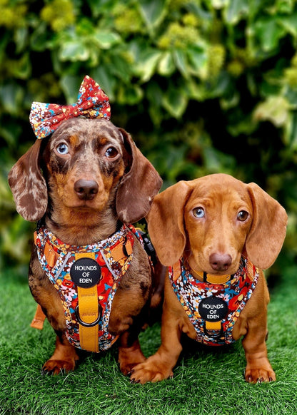 Retro Bloom Leather Dog Collar