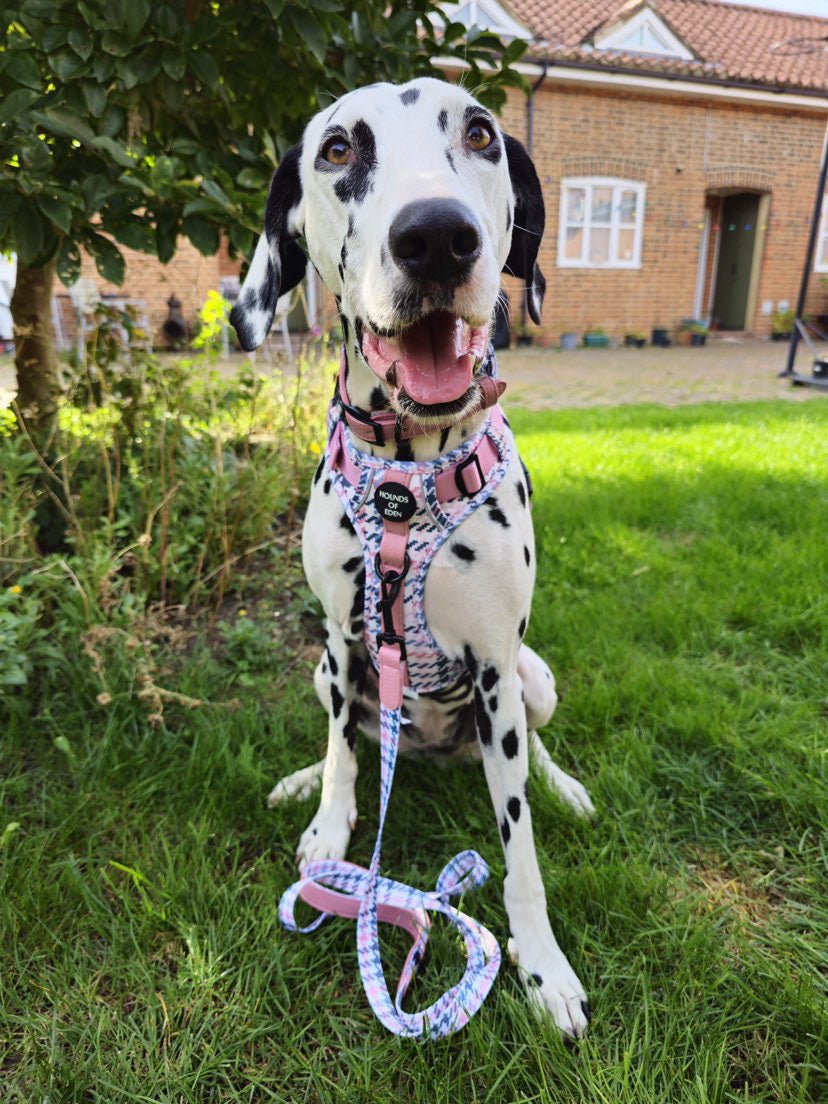 Pink Houndstooth Leather Dog Lead