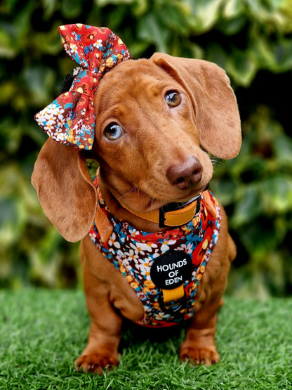 Retro Bloom Leather Dog Collar