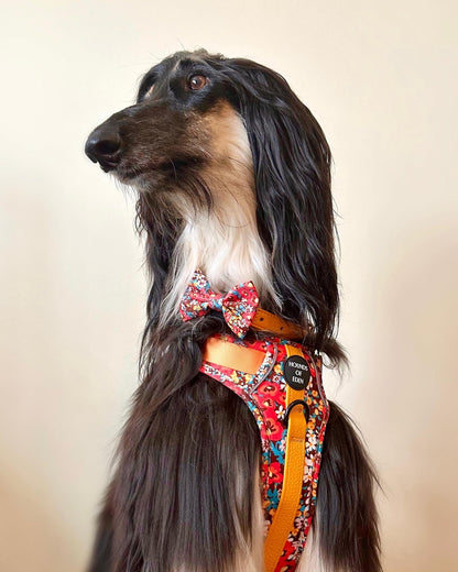 Retro Bloom Dog Supaw Strong Lite™ Harness (XS-XL)