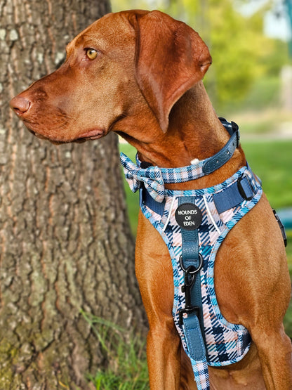 Tealing Smart Leather Dog Collar