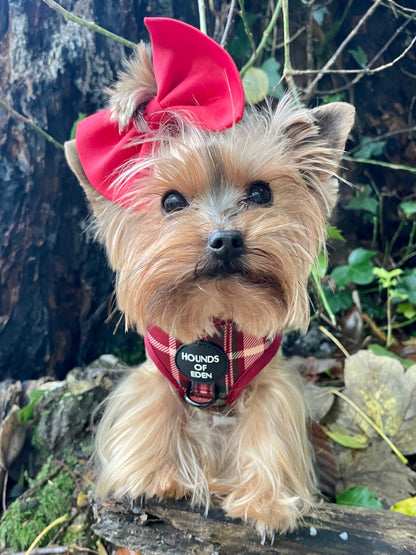 Tartan Me Up - Red & Cream Tartan Design Dog Harness