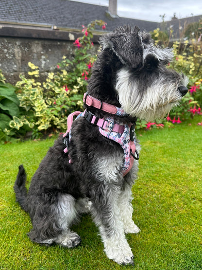 Pink Houndstooth Leather Dog Collar