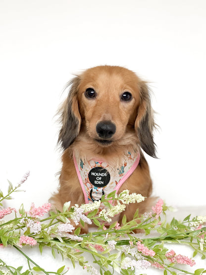 Bunny Tales - Pink, Dog Harness (XXS-XS)