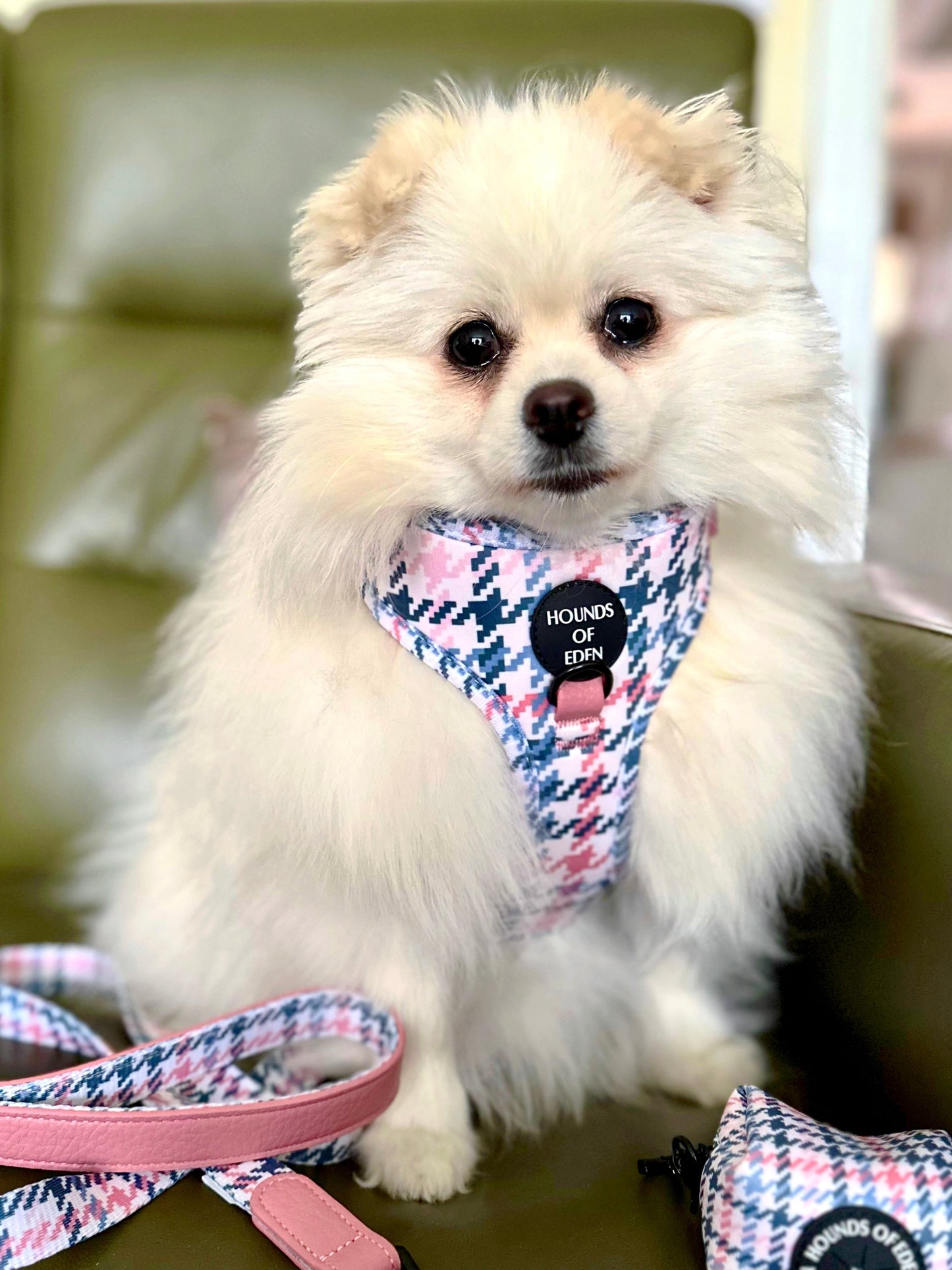 Pink Houndstooth Dog Harness (XXS-XS)