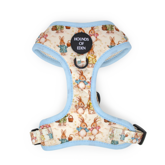 Bunny Tales Blue Dog Harness XXS-XS with cute bunny print and improved fit for comfort and adjustability