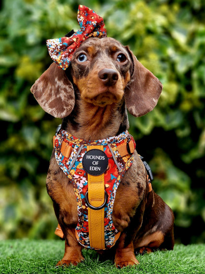 Retro Bloom Dog Supaw Strong Lite™ Harness (XS-XL)