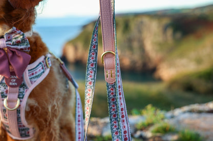 Bella's Jumper Dog Collar + Tag Holder