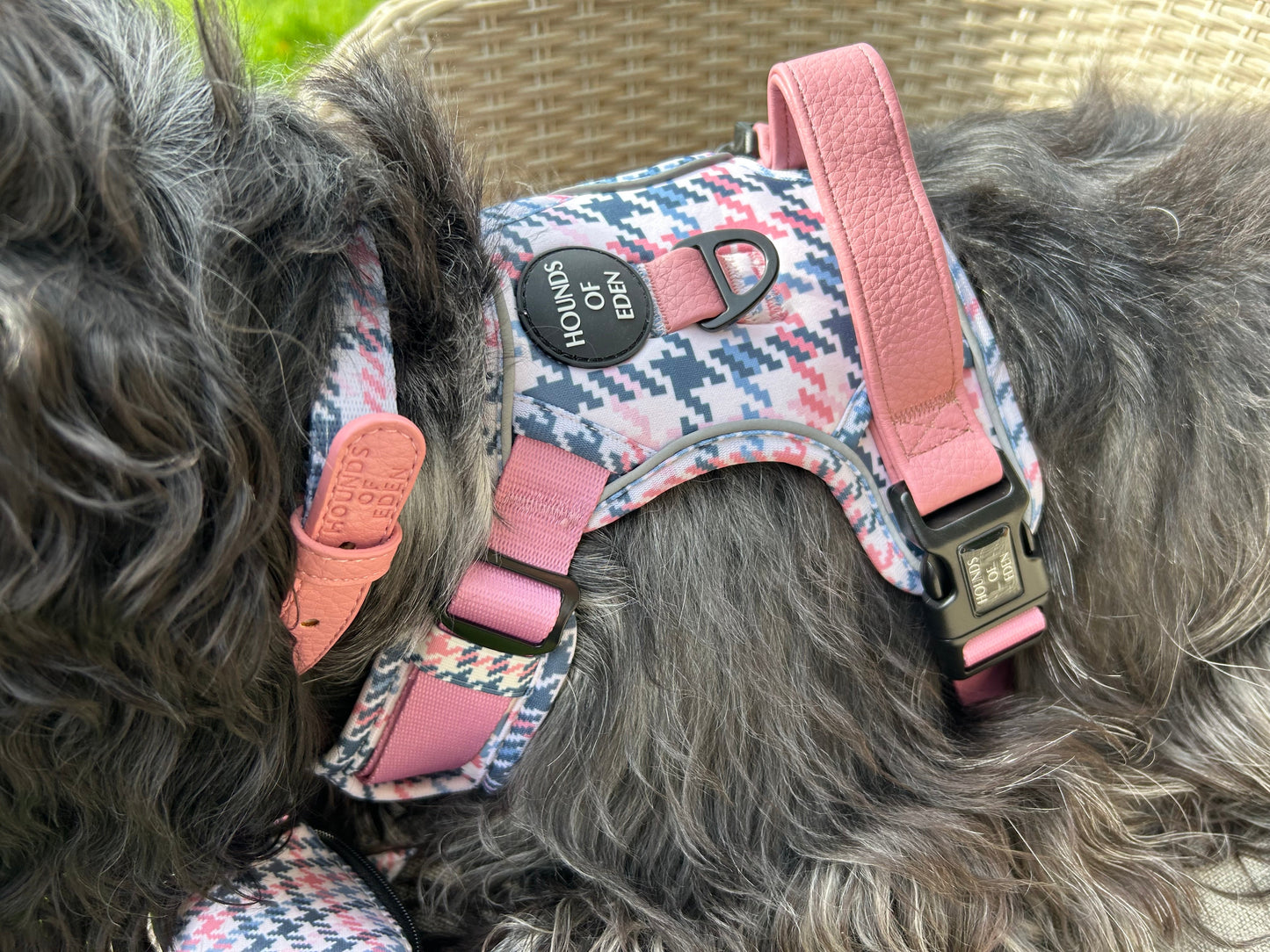 Pink Houndstooth Leather Dog Collar