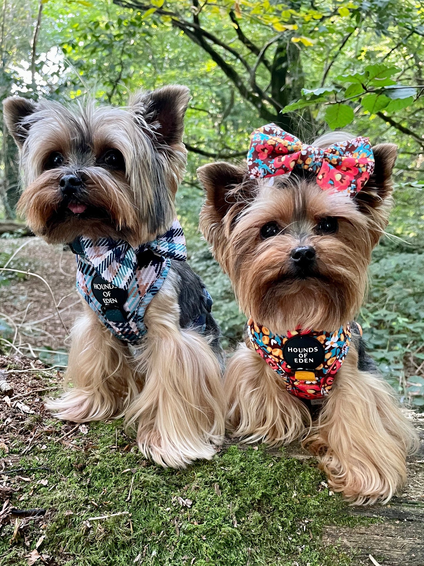 Retro Bloom Leather Dog Collar