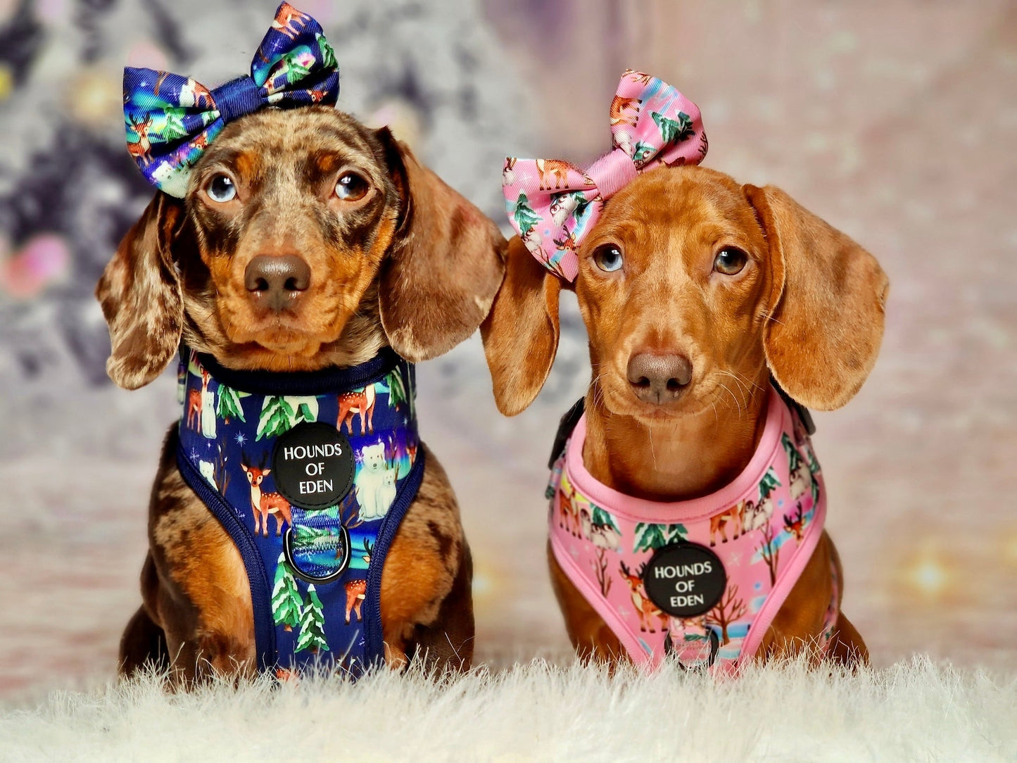 Aurora Nights - Pink Penguin Design Dog Harness