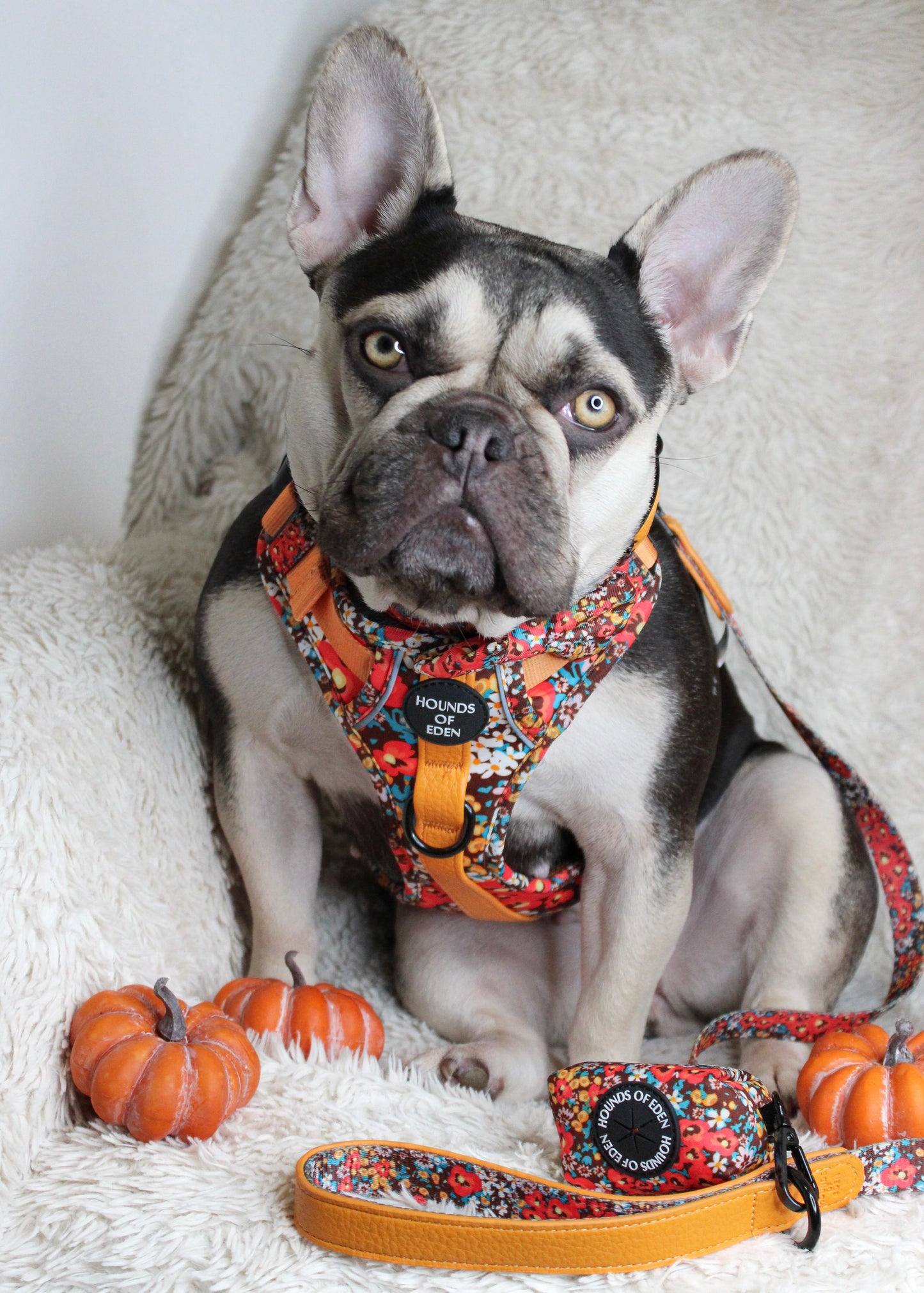 Retro Bloom Leather Dog Collar