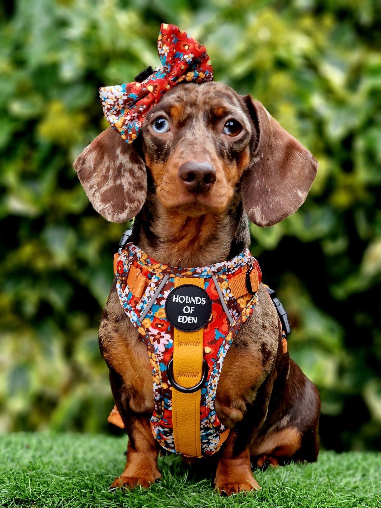 Retro Bloom Leather Dog Collar