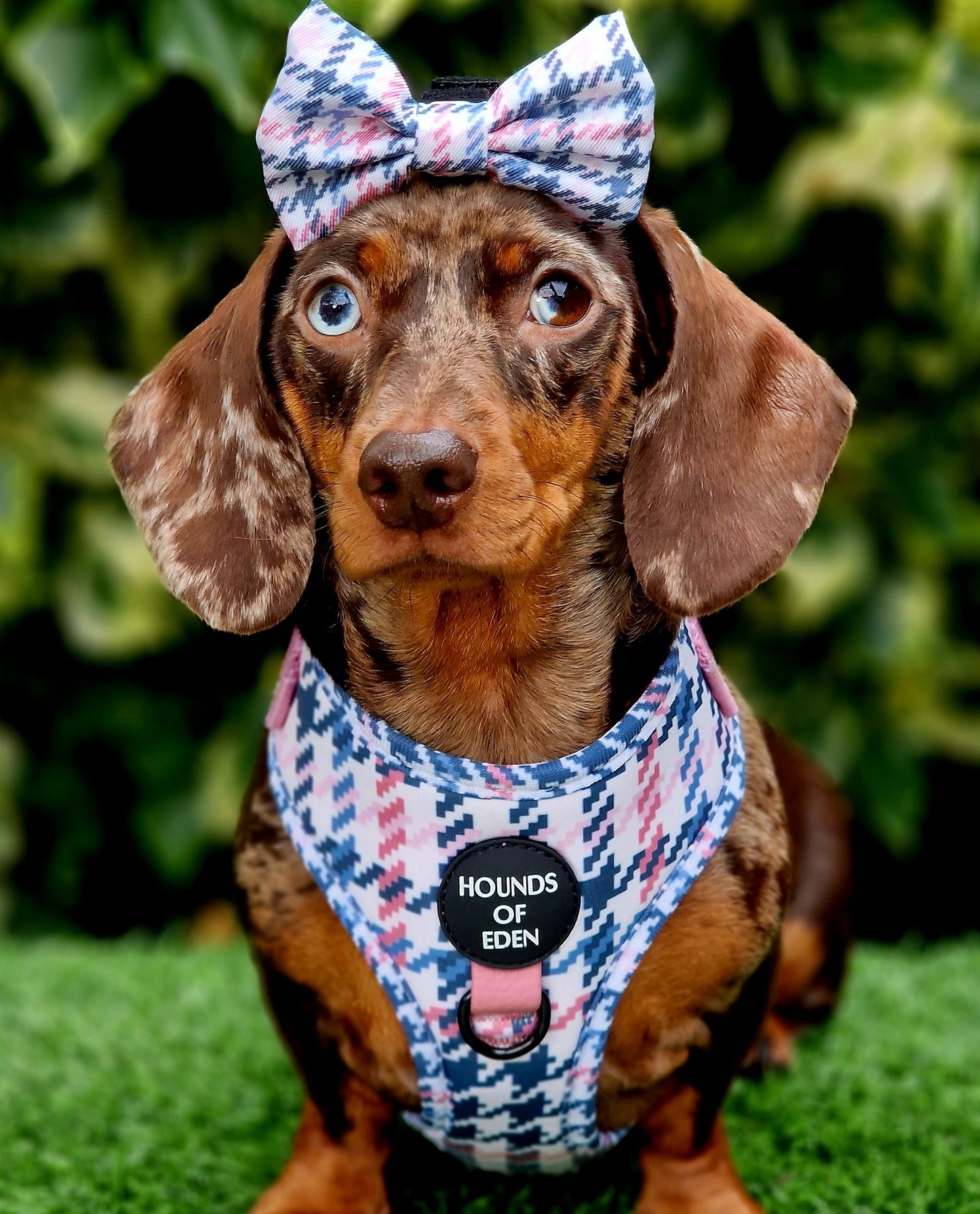 Pink Houndstooth Leather Dog Collar