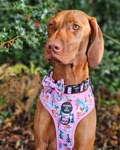 Aurora Nights - Pink Penguin Dog Snood