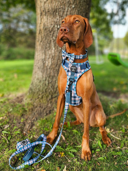 Tealing Smart Dog Supaw Strong Lite™ Harness (XS-XL)