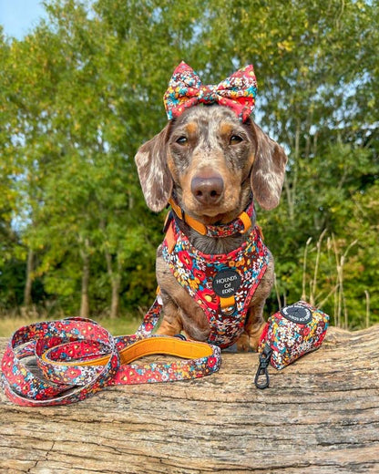 Retro Bloom Leather Dog Collar