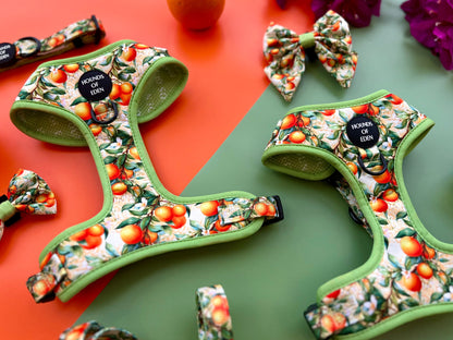 Simply the Zest - Oranges Dog Bow Tie