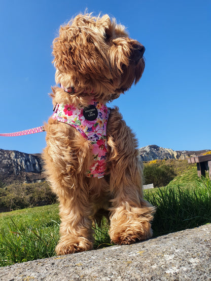 'Florentina' - Floral Dog Harness