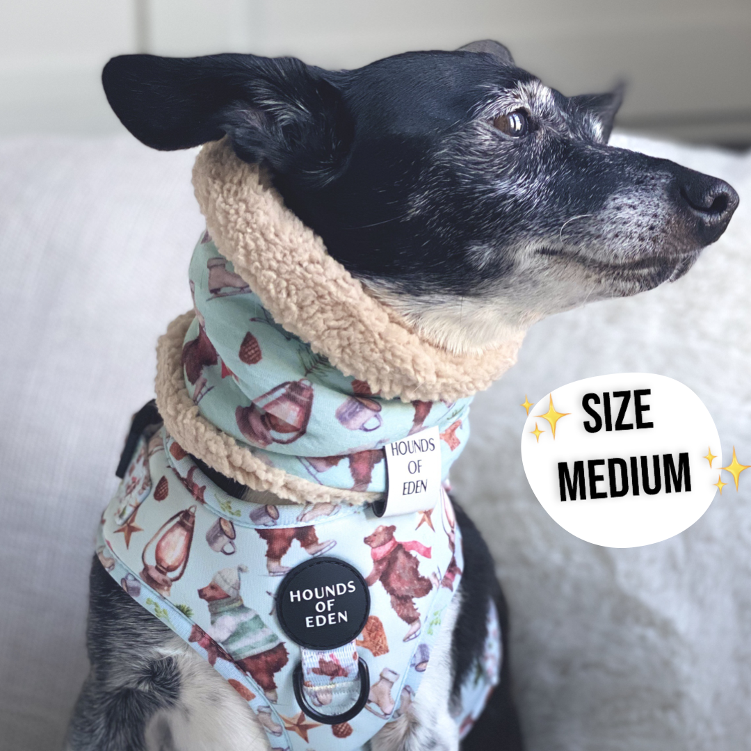 Autumn Blossom - Dog Snood