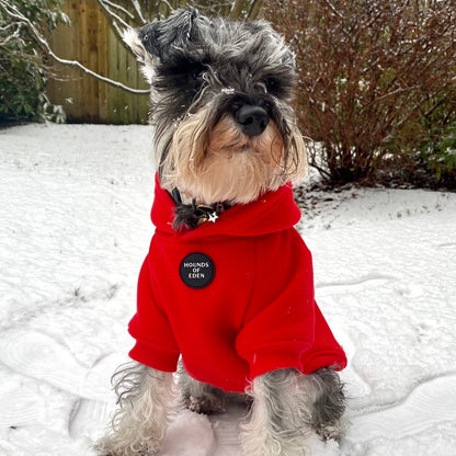 Dog Hoodie - Red