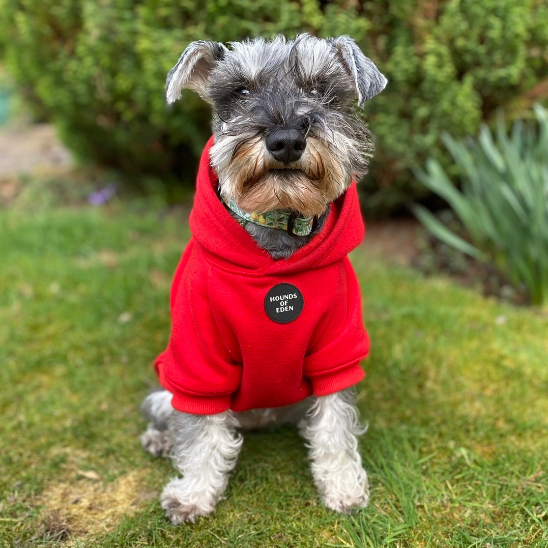 Dog Hoodie - Red