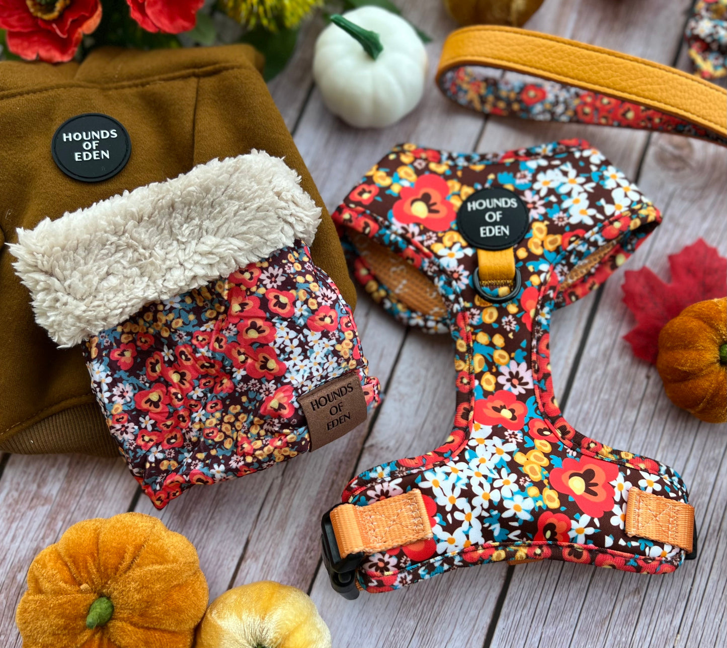 Retro Bloom Dog Harness (XXS & XS)