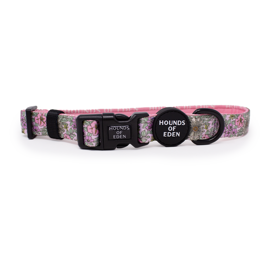 Wild Blossom - Design Dog Collar