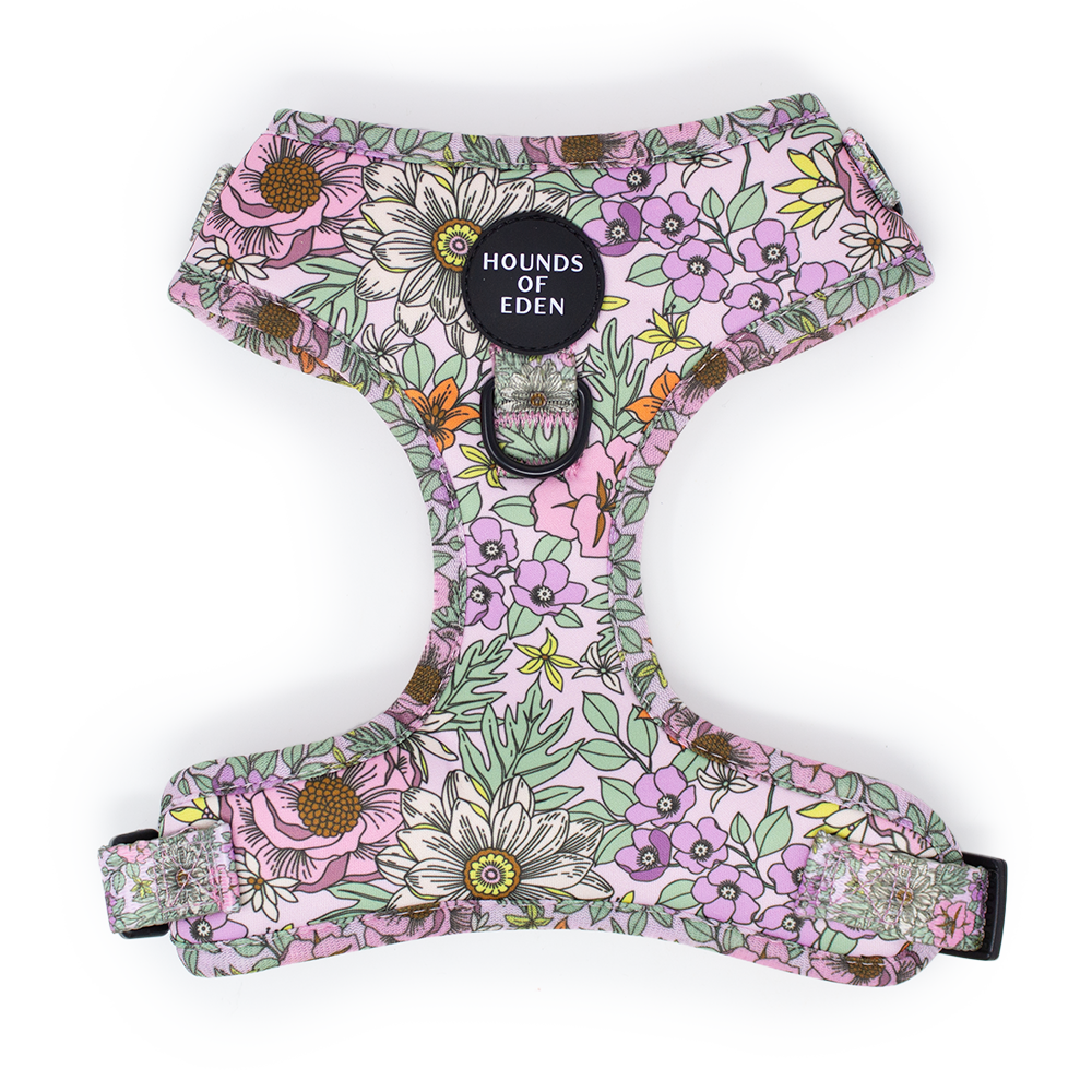 Wild Blossom- Design Dog Harness