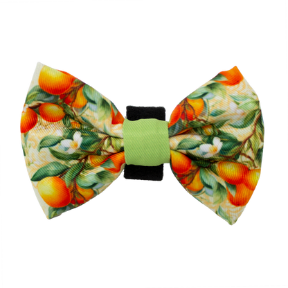 Simply the Zest - Oranges Dog Bow Tie