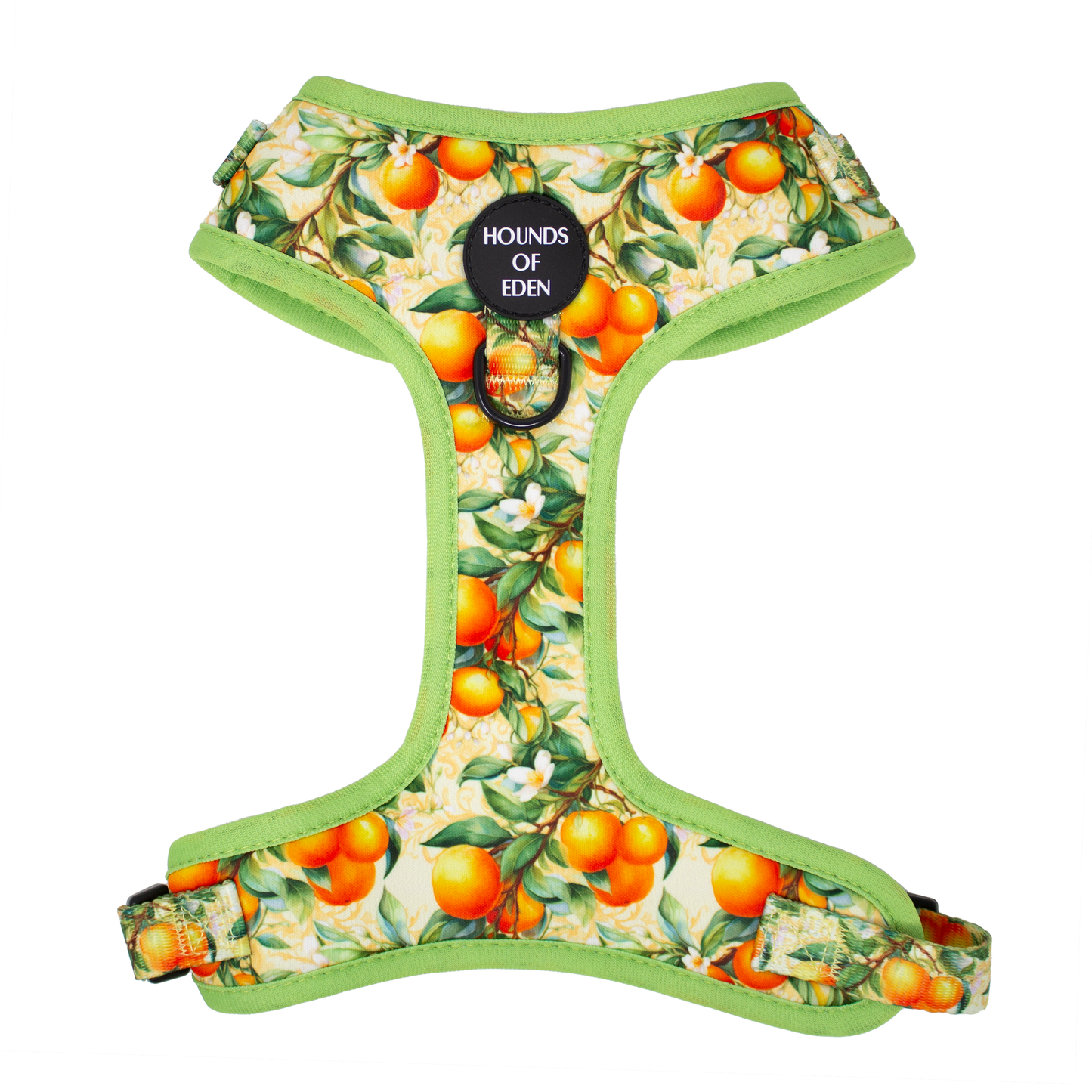 Simply the Zest - Oranges Dog Harness