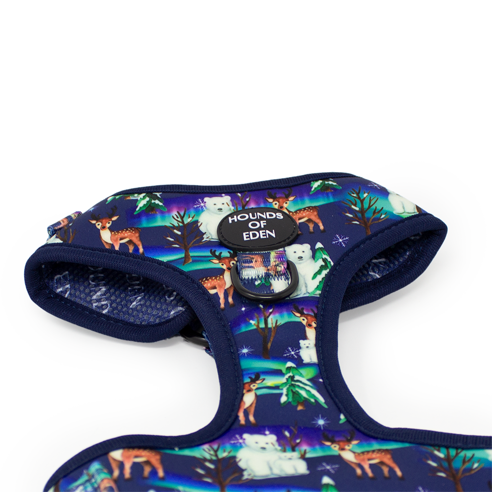 Polar Lights - Navy Polar Bear Design Dog Collar