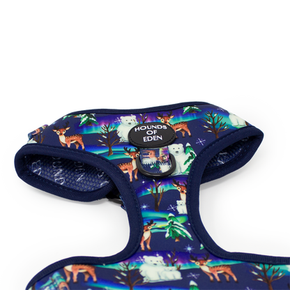 Polar Lights - Navy Polar Bear Design Dog Collar